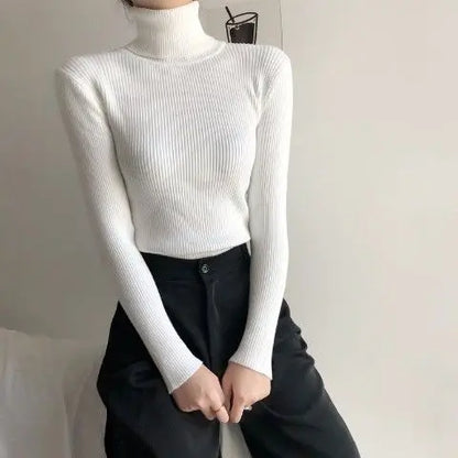 Slim Ribbed Turtleneck Knit Sweater