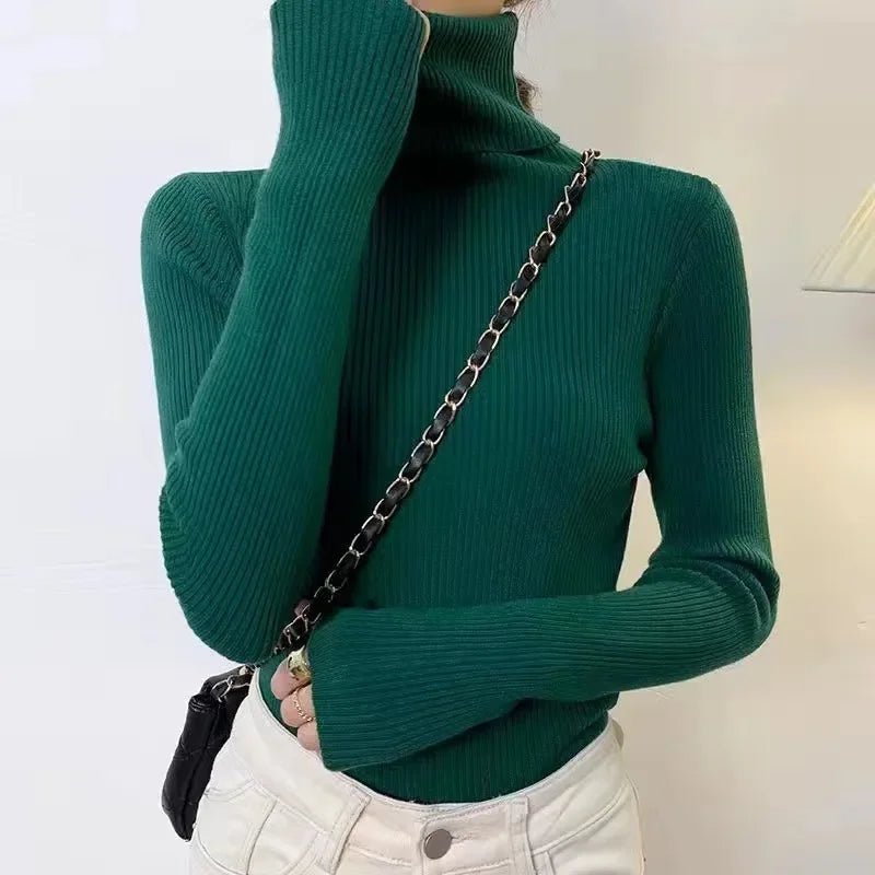 Slim Ribbed Turtleneck Knit Sweater