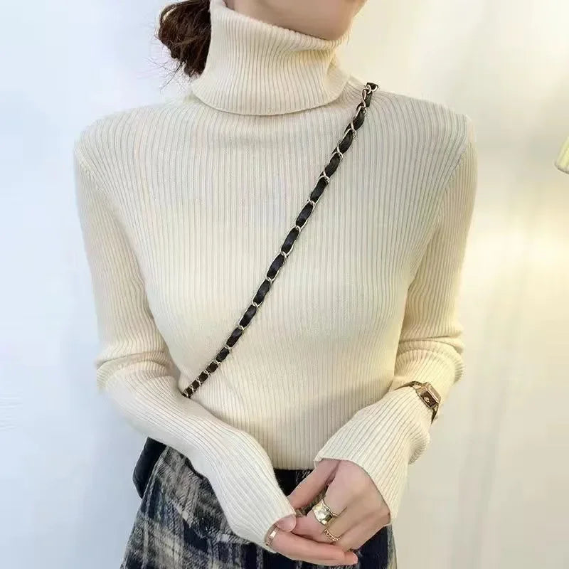 Slim Ribbed Turtleneck Knit Sweater