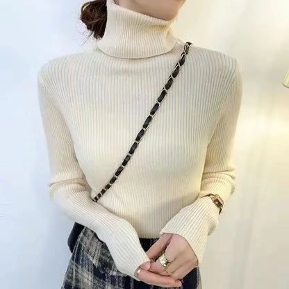 Slim Ribbed Turtleneck Knit Sweater