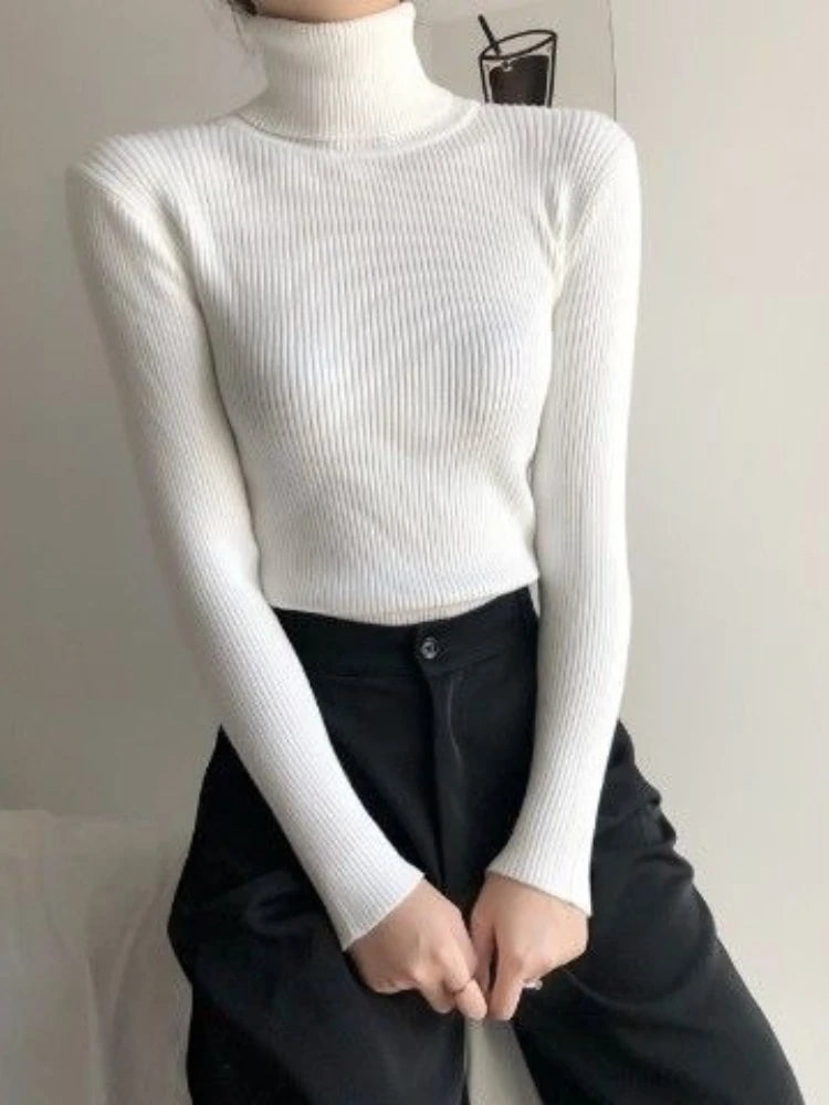 Slim Ribbed Turtleneck Knit Sweater