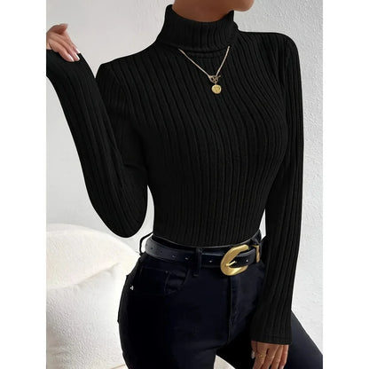 Ribbed Knit Turtleneck Sweater