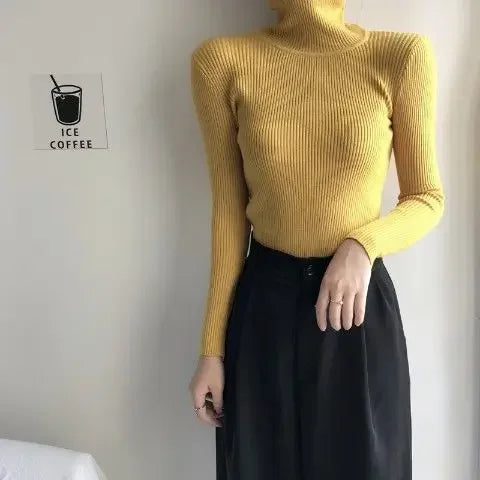 Slim Ribbed Turtleneck Knit Sweater