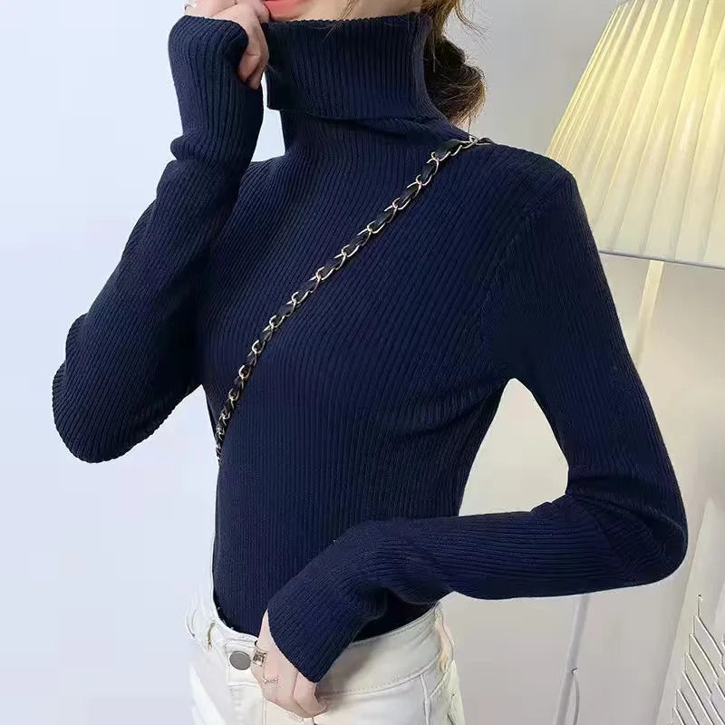 Slim Ribbed Turtleneck Knit Sweater