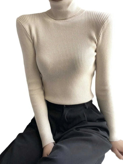 Slim Ribbed Turtleneck Knit Sweater